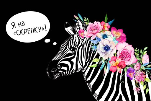 Мы на «Скрепке»!