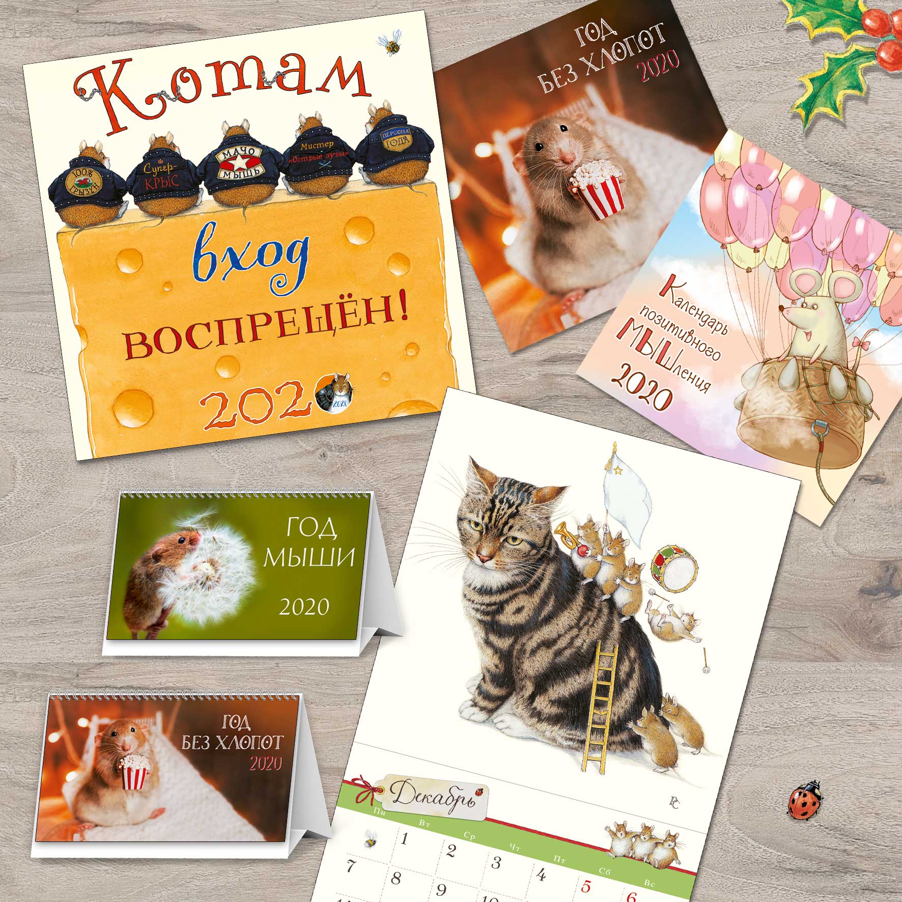 Модуль изображения