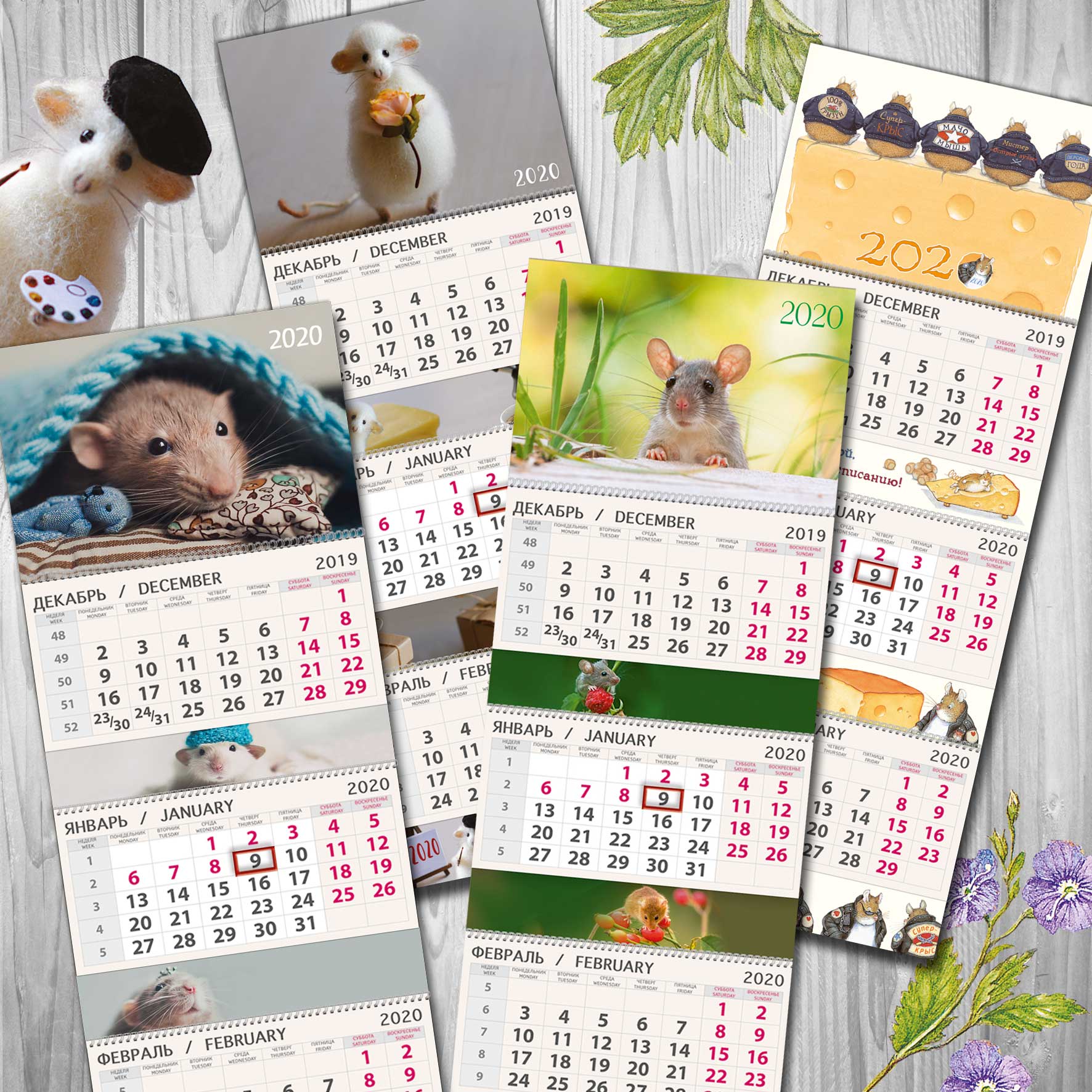 Модуль изображения