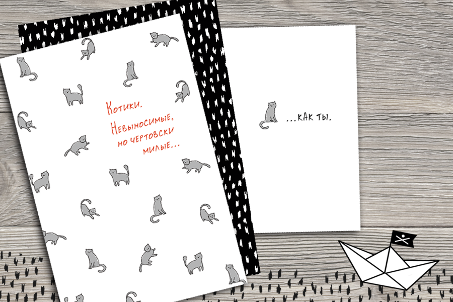 Модуль изображения