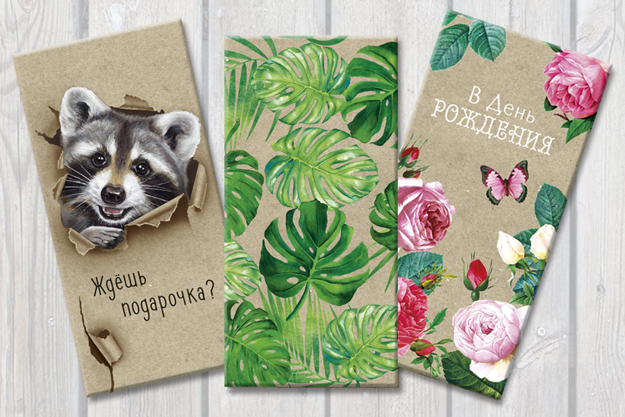 Модуль изображения