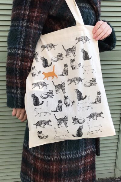 Модуль изображения