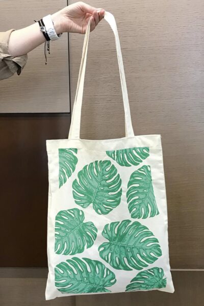 Модуль изображения