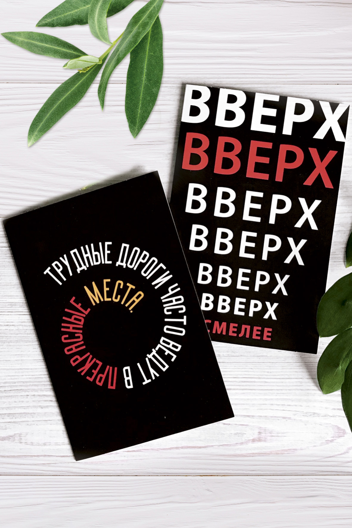 Модуль изображения