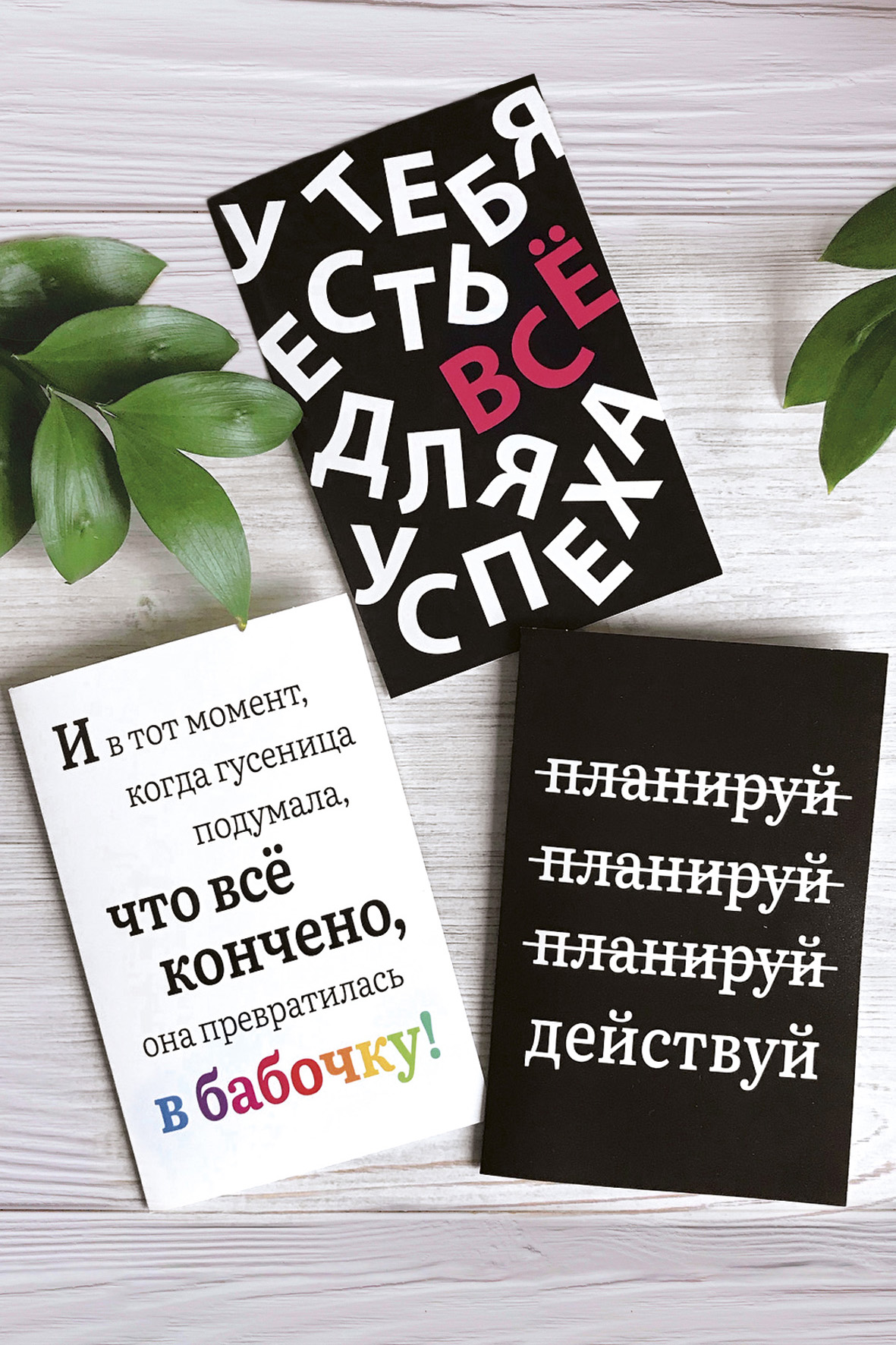 Модуль изображения