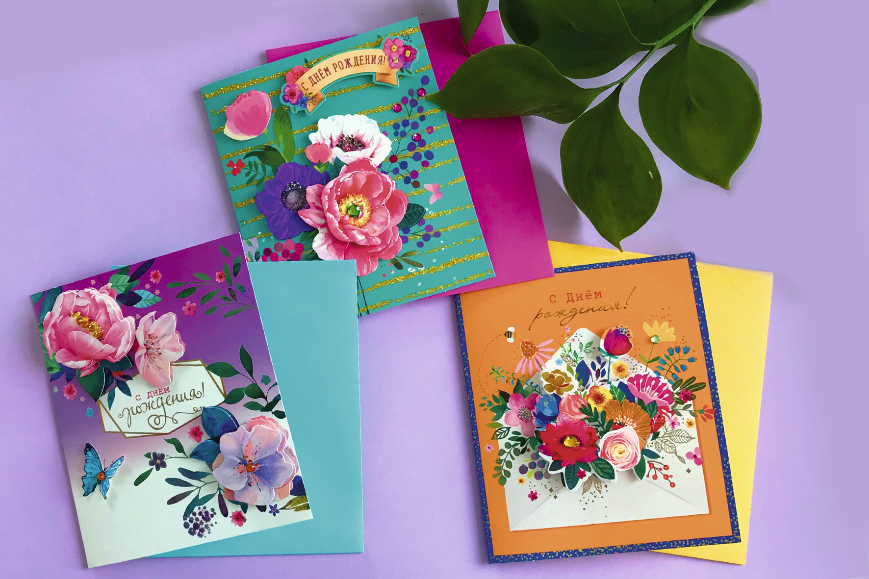 Модуль изображения