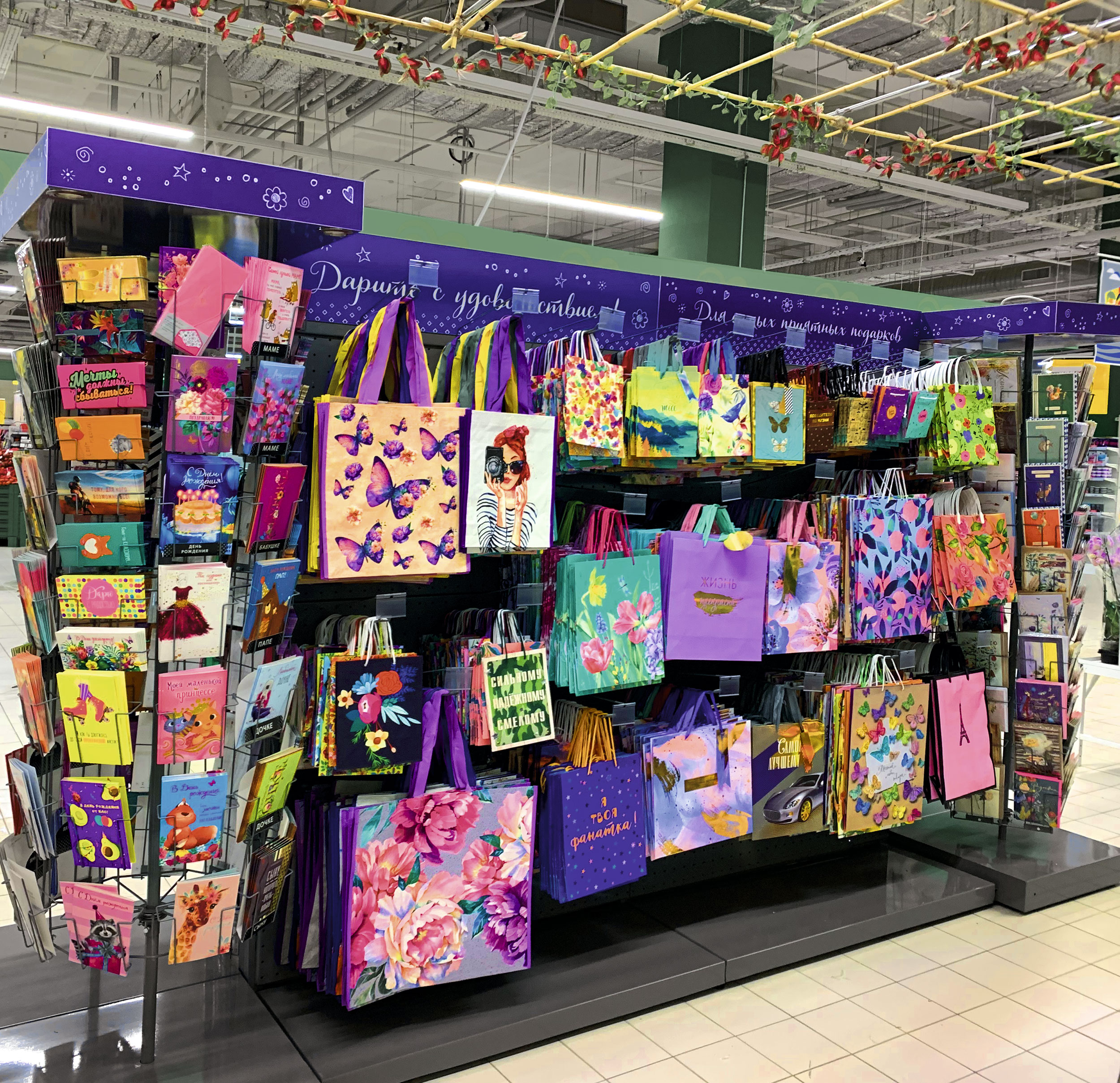 Модуль изображения