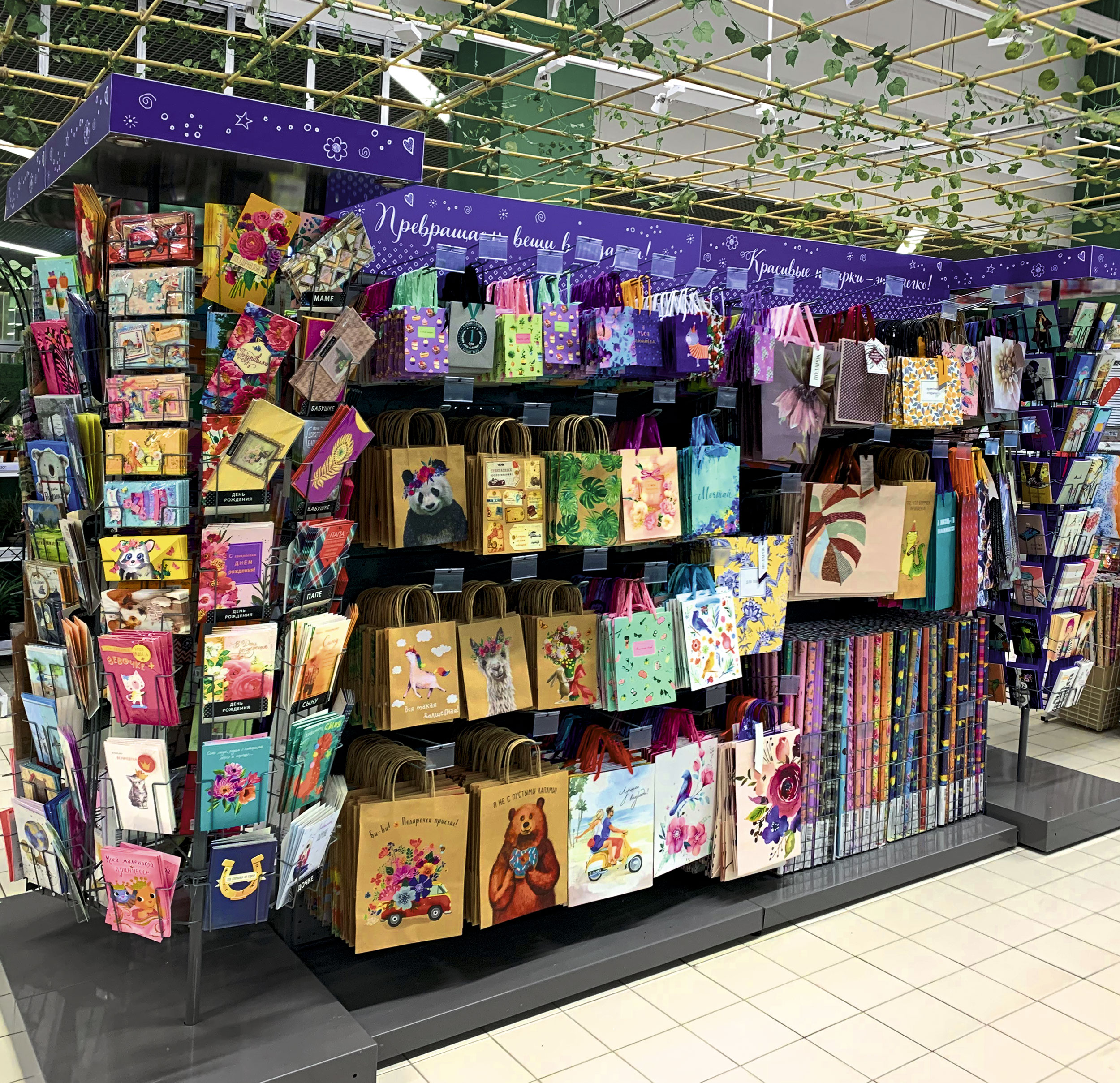 Модуль изображения