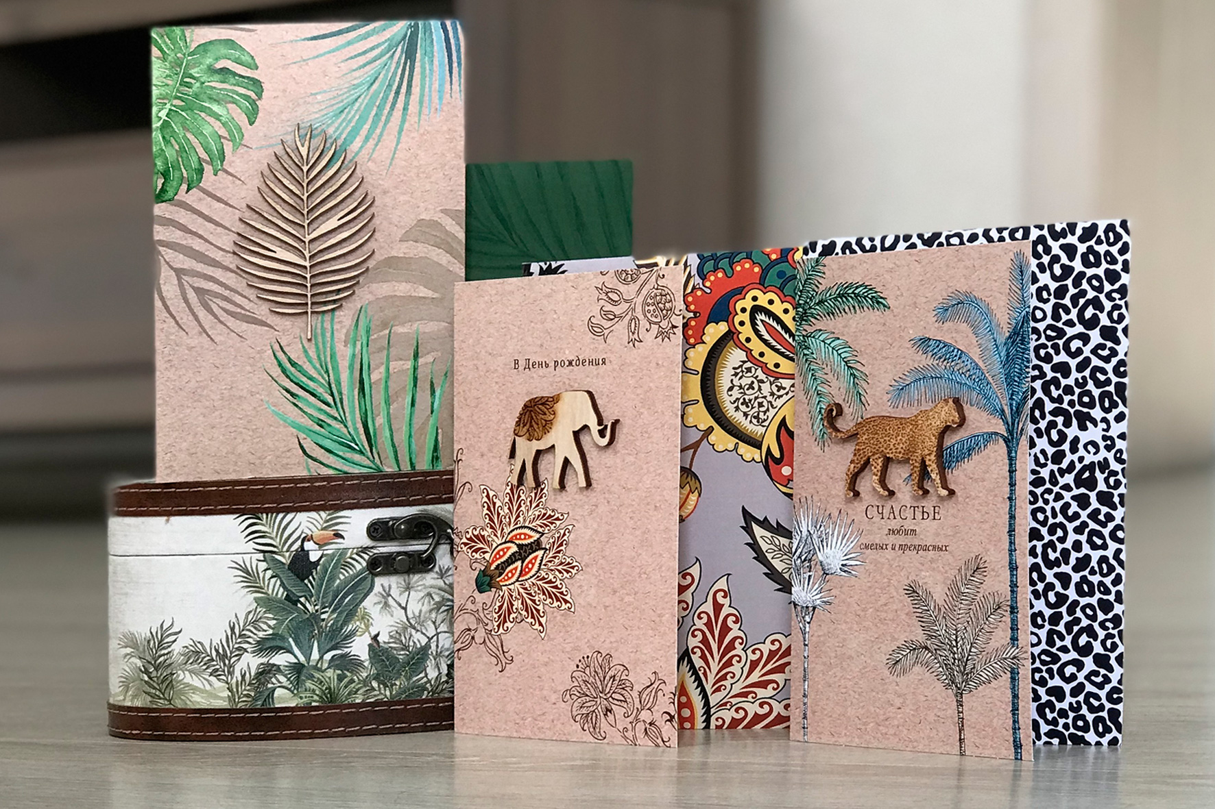 Модуль изображения