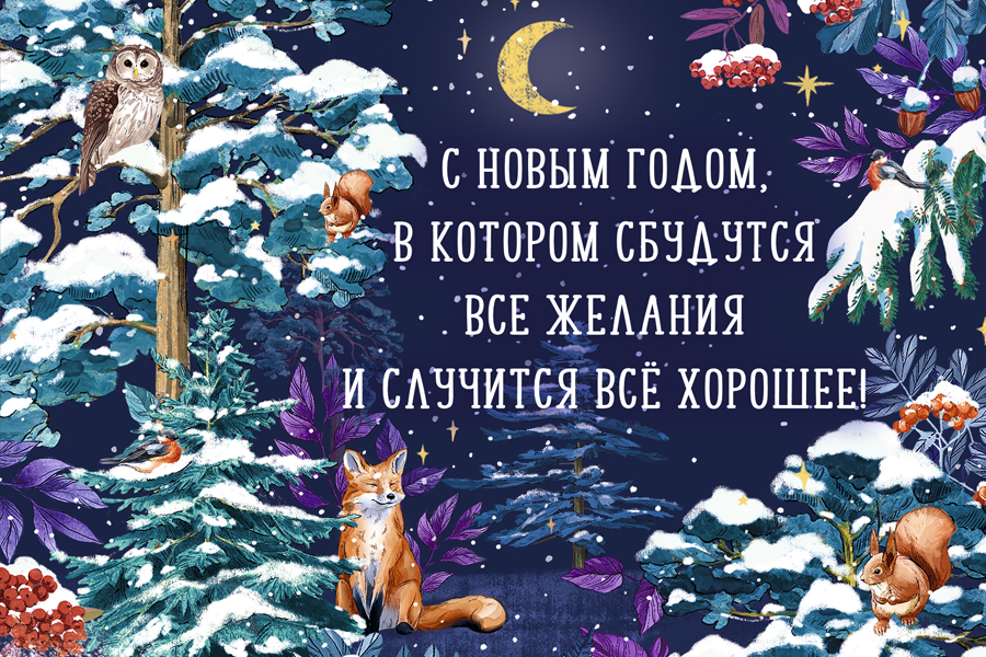 Модуль изображения