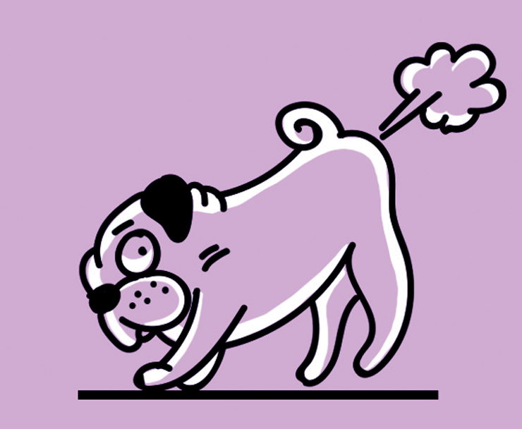 Модуль изображения