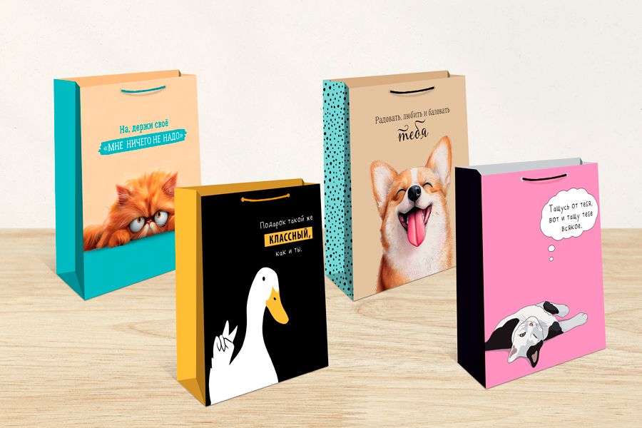 Модуль изображения