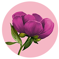 Image module