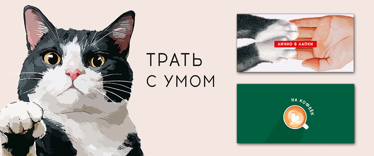 Модуль изображения